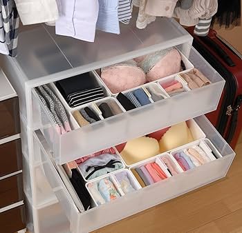 Amazon.co.jp: イノマタ化学 下着 収納ケース インデックス